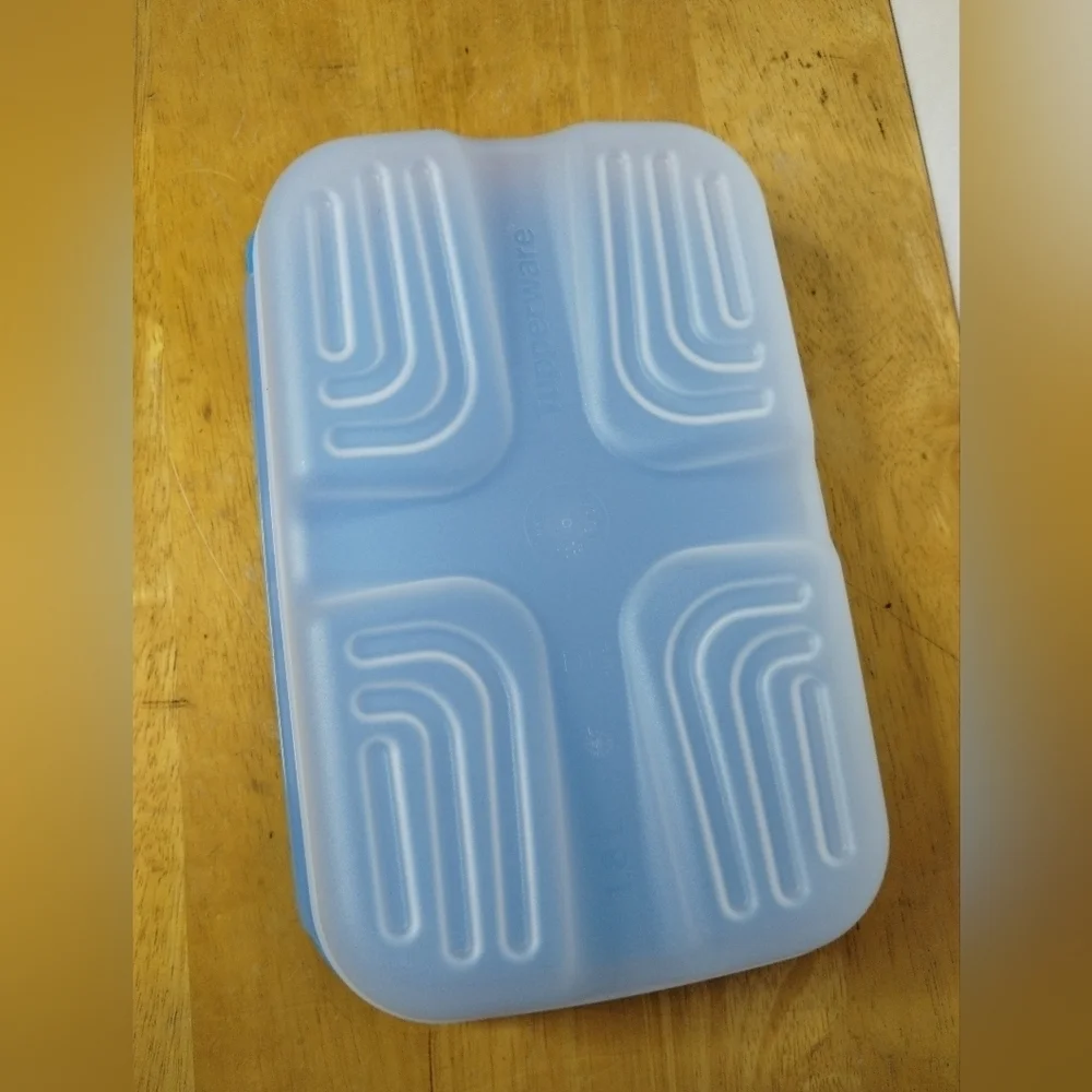 New Blue Tupperware Surf N Turf Meat keeper